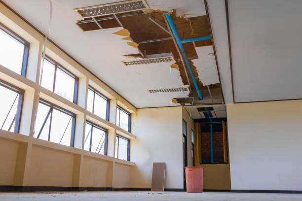 Best Flooded house restoration  in Fredonia, WI