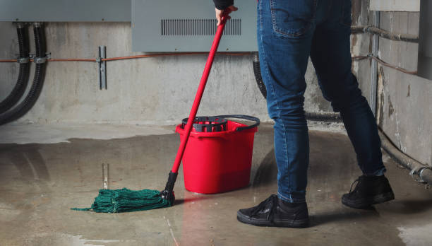 Best 24-hour water damage restoration  in Fredonia, WI