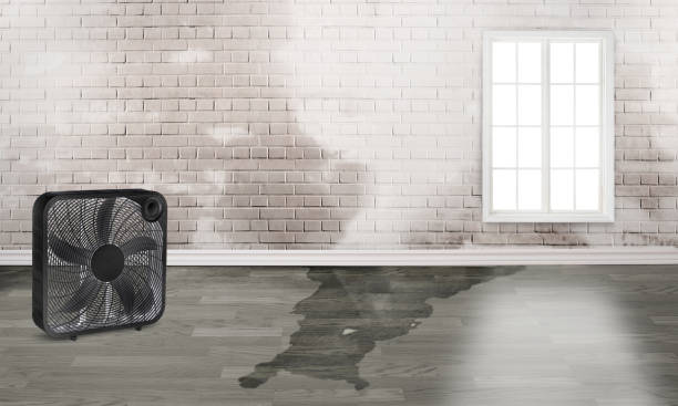 Best Water damage cleanup near me  in Fredonia, WI