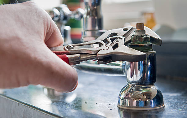 Best Flood restoration services  in Fredonia, WI