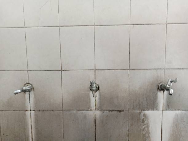 Best Commercial water damage restoration  in Fredonia, WI