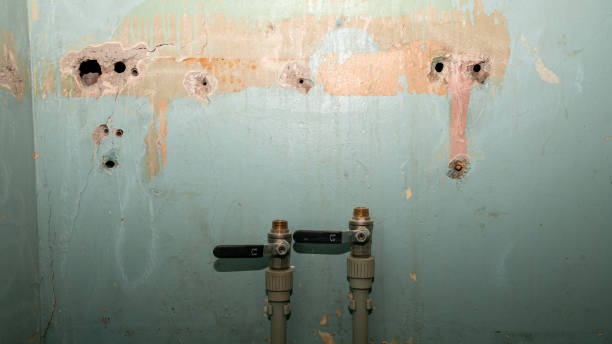Best Professional water damage repair  in Fredonia, WI