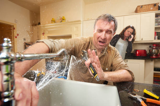Best Water damage contractors near me  in Fredonia, WI